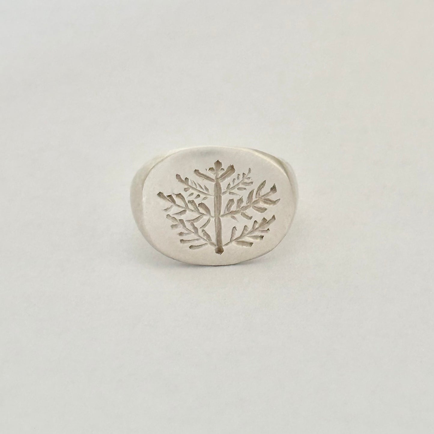 Signet ring - Bough