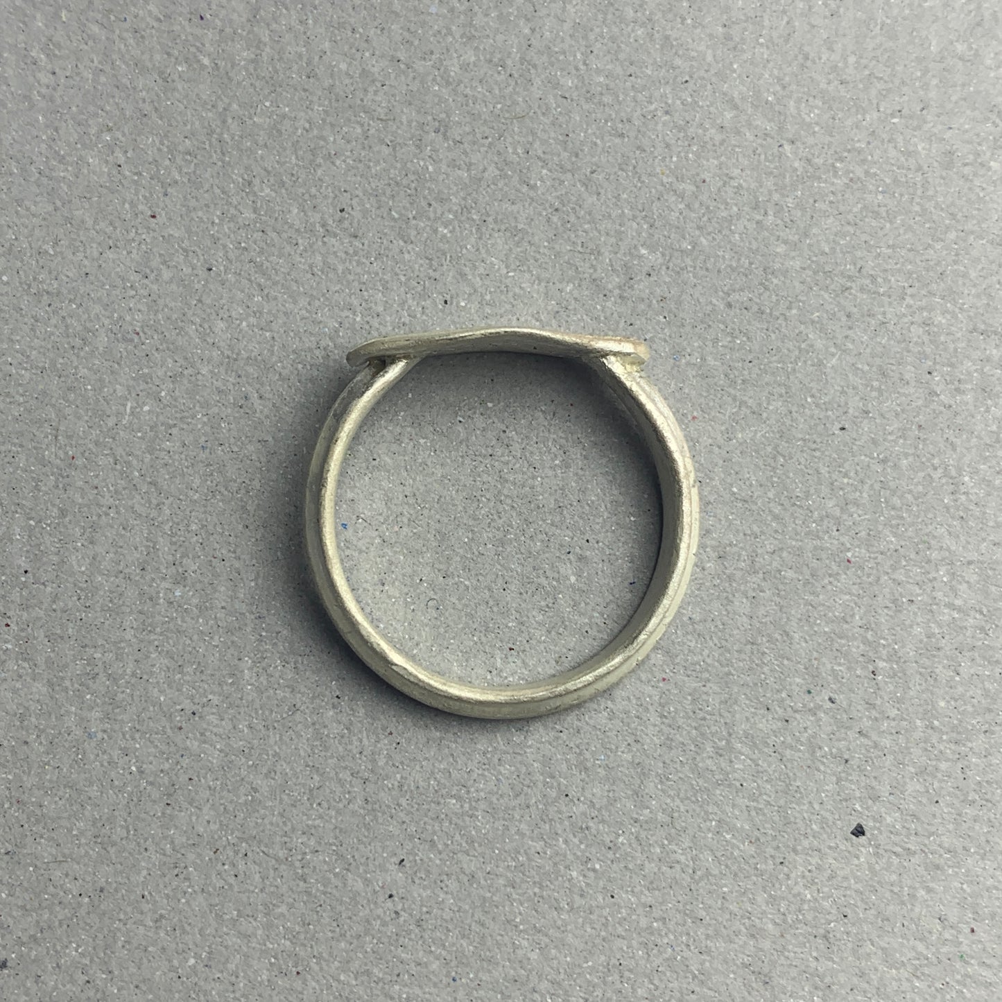 Journal Ring-Leaf No.1 -Silver