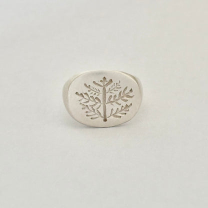 Signet ring - Bough