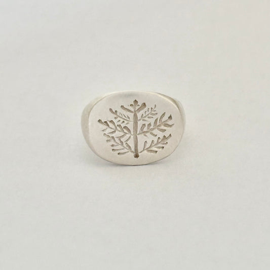 Signet ring - Bough