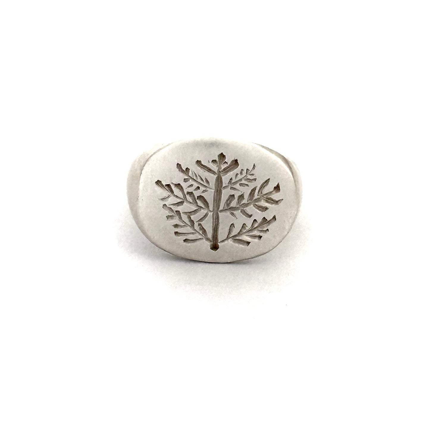 Signet ring - Bough